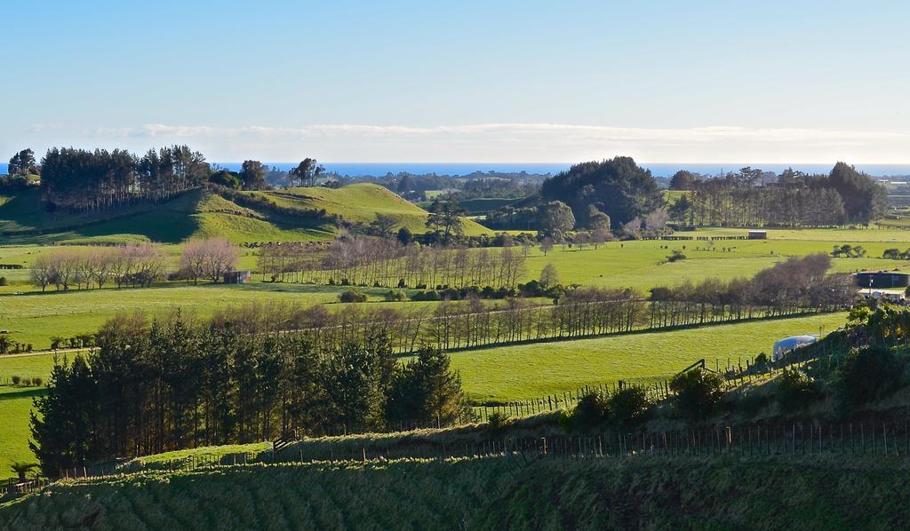 A Touch Of Tuscany At Hillsborough New Plymouth Esterno foto
