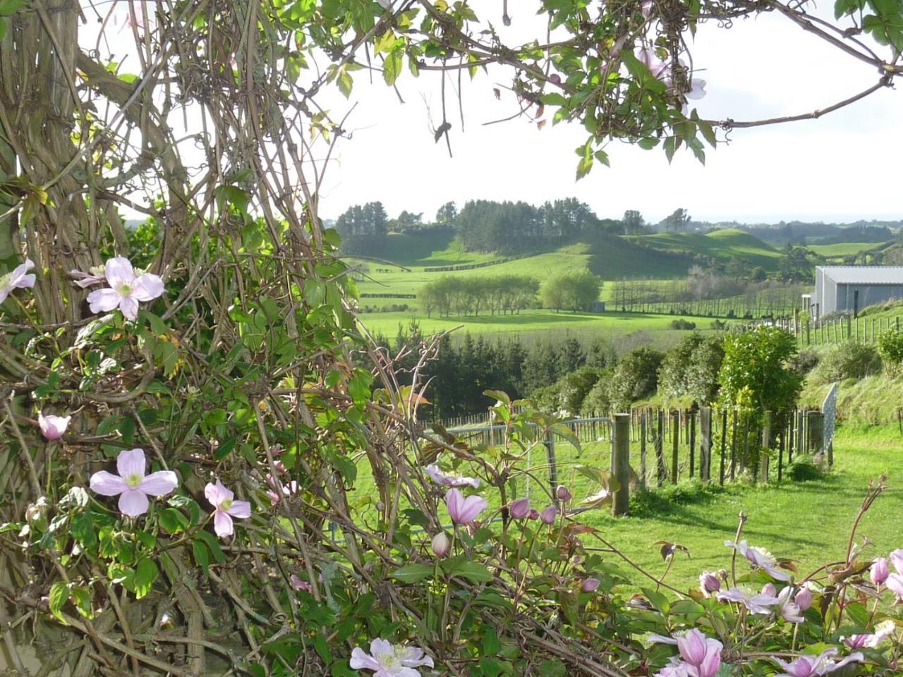 A Touch Of Tuscany At Hillsborough New Plymouth Esterno foto